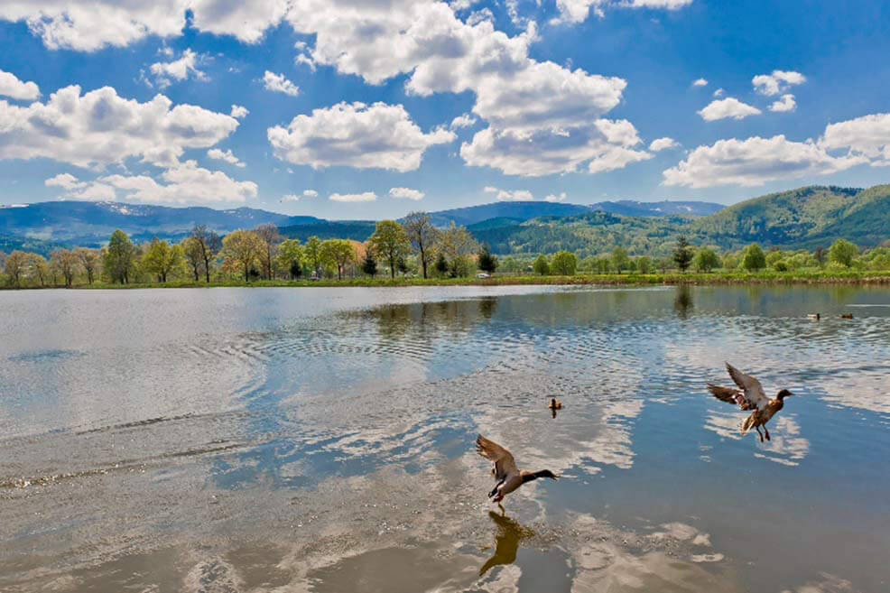 Naturlandschaft in der Umgebung